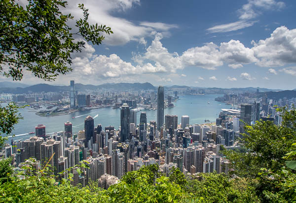 Hong Kong's skyscrappers and harbour from Victoria Peak