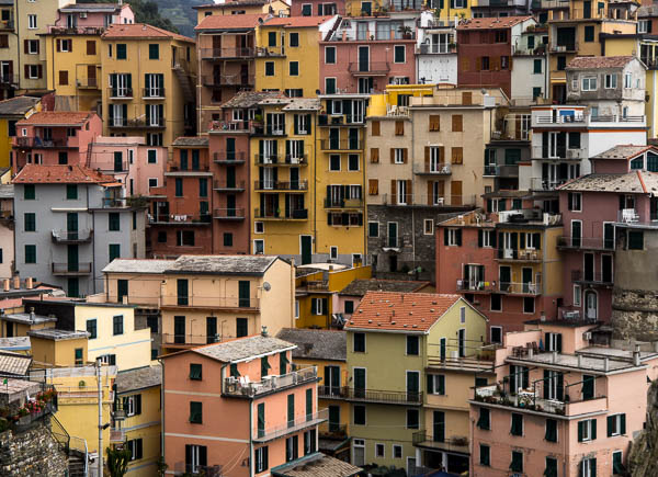 Manarola houses in the Cinque Terre 